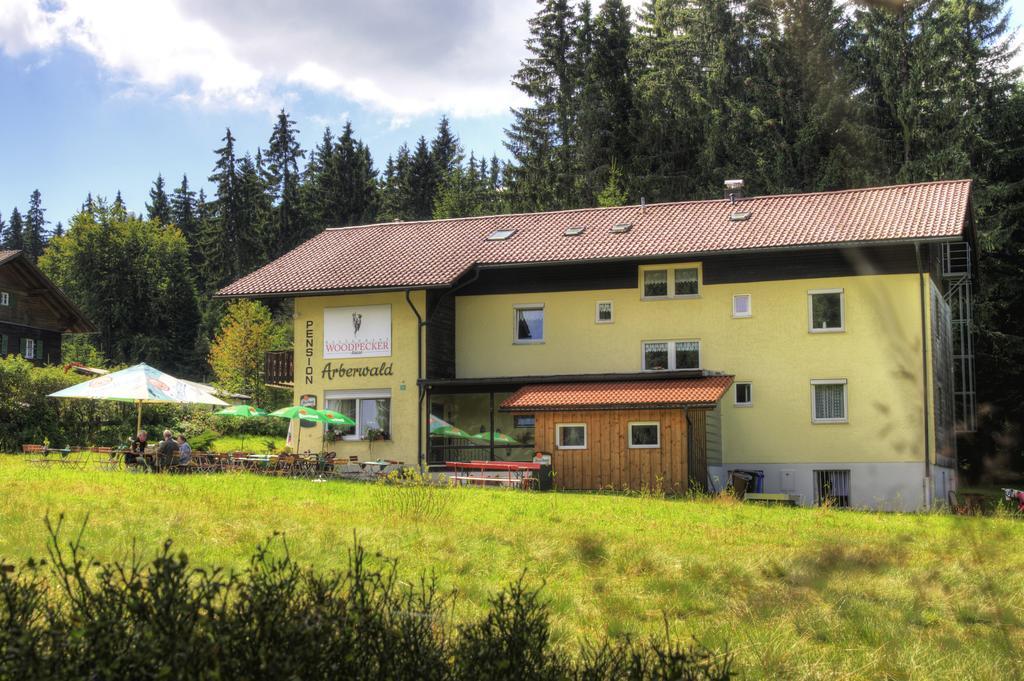 Pension Arberwald Bayerisch Eisenstein Bagian luar foto