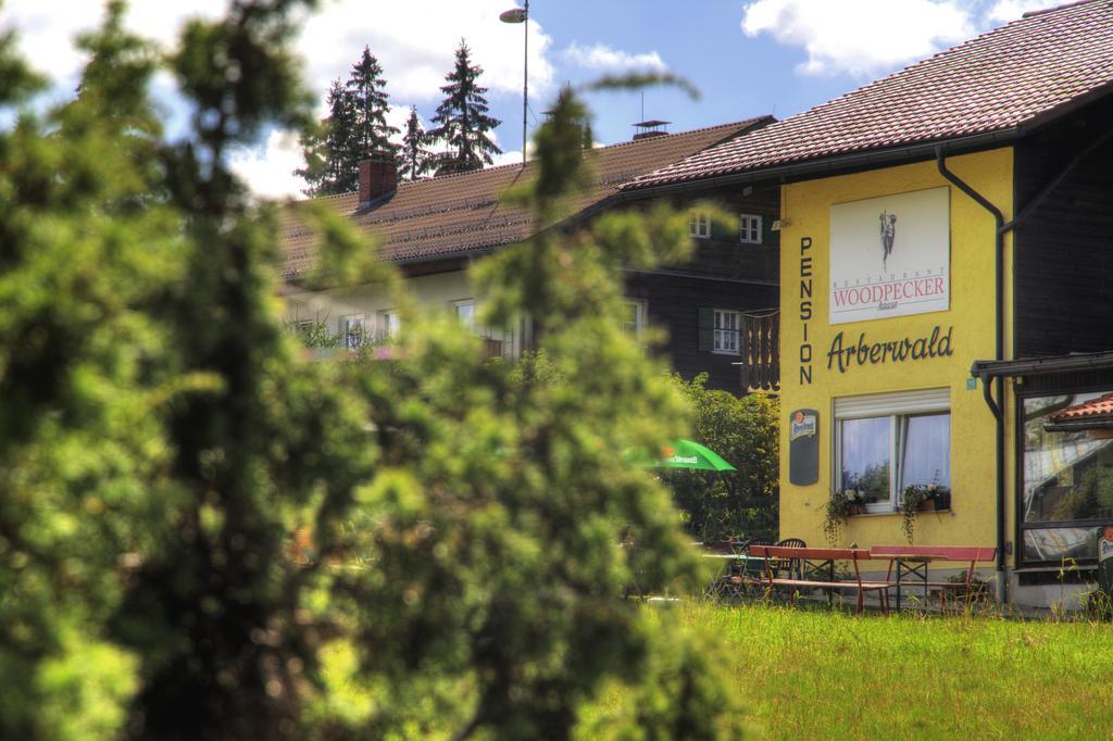 Pension Arberwald Bayerisch Eisenstein Bagian luar foto