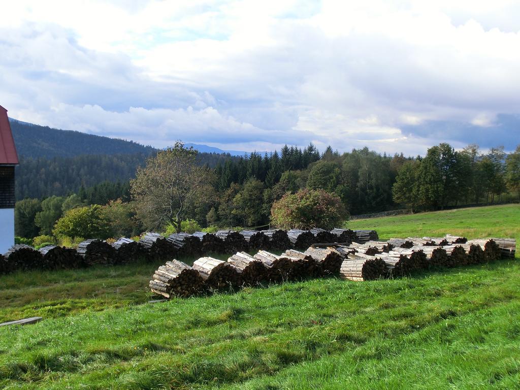 Pension Arberwald Bayerisch Eisenstein Bagian luar foto